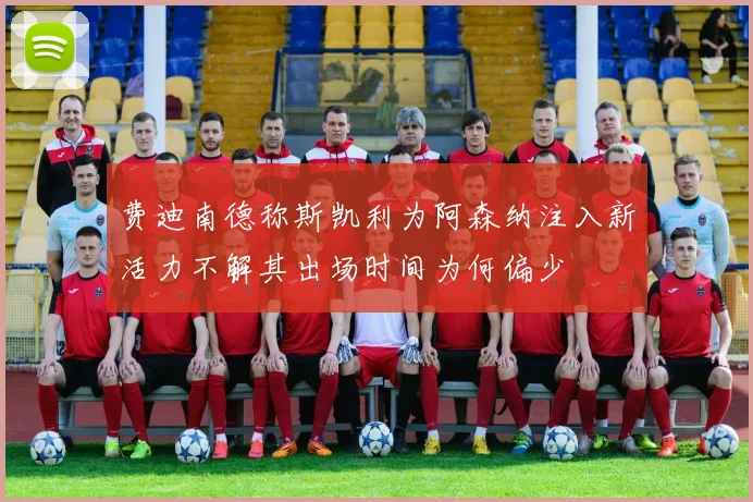 费迪南德称斯凯利为阿森纳注入新活力不解其出场时间为何偏少